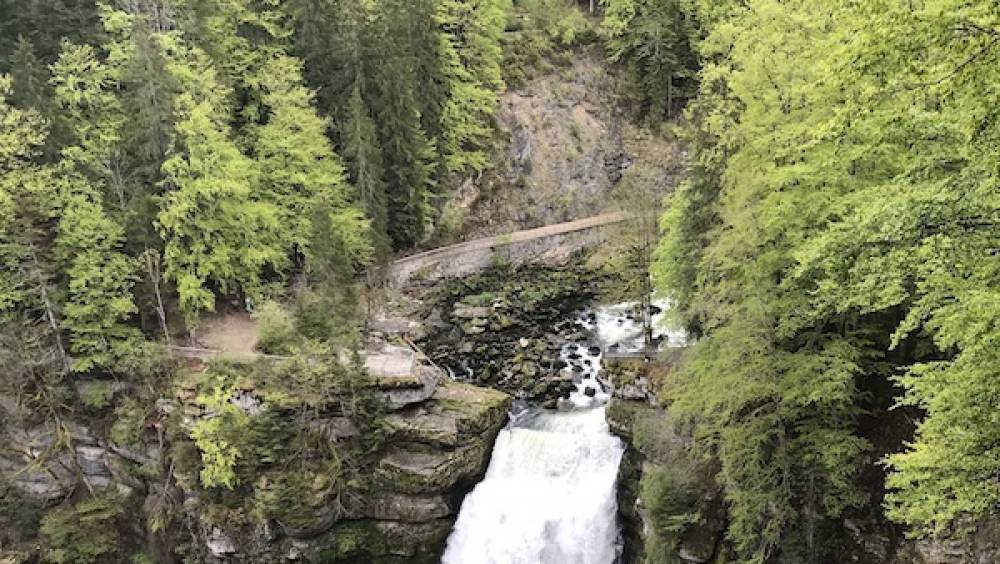 trail du saut du doubs 2020