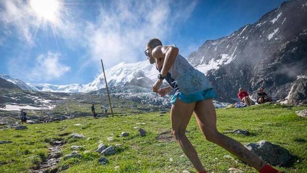 triple italien au nid daigle