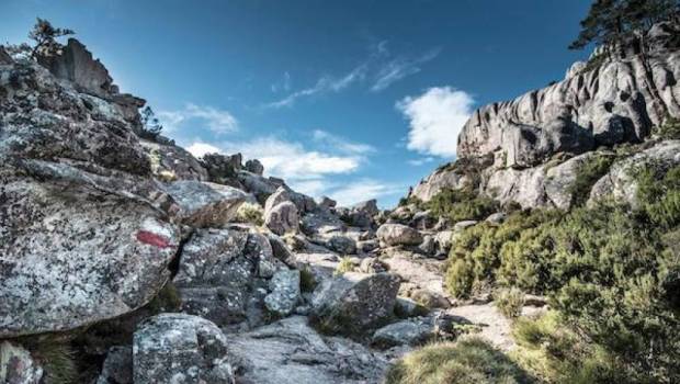 terre des dieux 2022