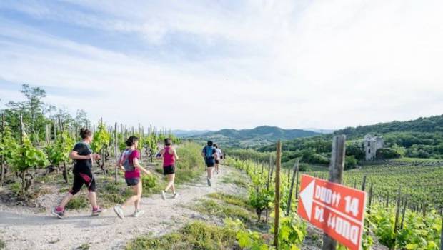 duo hermitage une 10eme edition chaleureuse