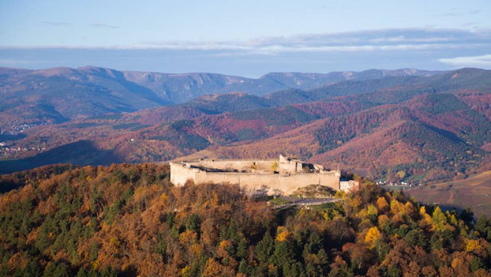 creation du trail alsace grand est by utmb en 2023