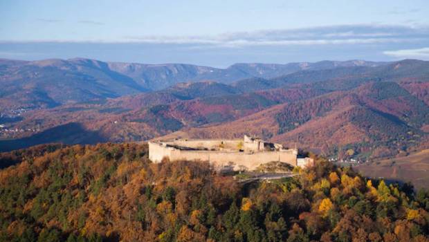 creation du trail alsace grand est by utmb en 2023