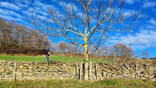 trail hivernal des coursieressous printanier