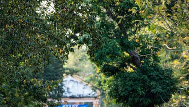 retour reussi pour lultra trail dangkor 2023