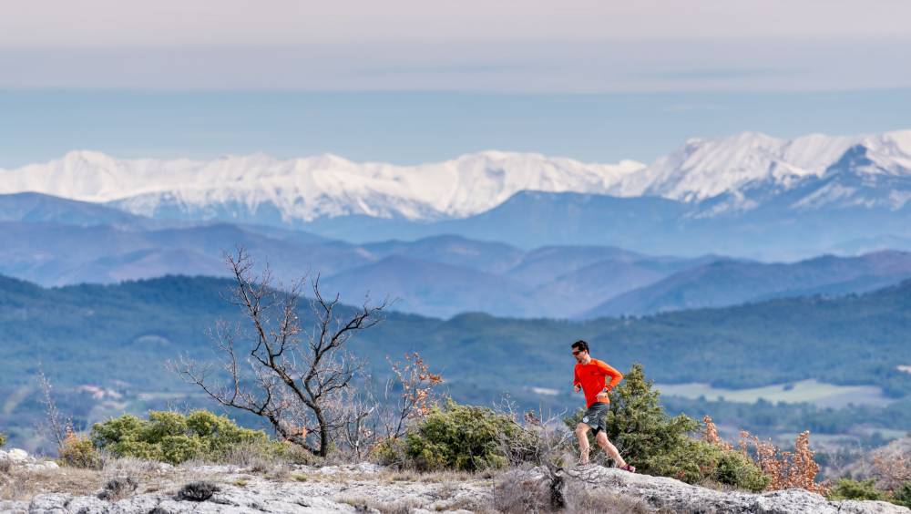 forcalquier montagne de lure lexperience du trail en haute provence