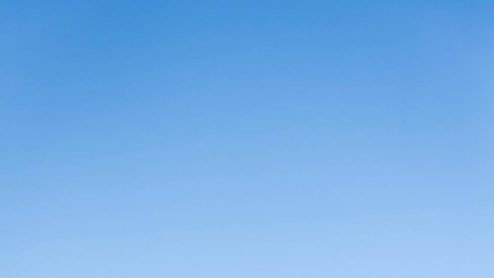 chaussure de trail femme homme 2