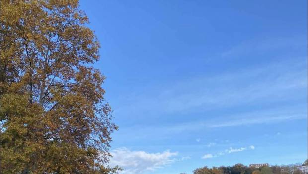 https trails endurance com trail industry