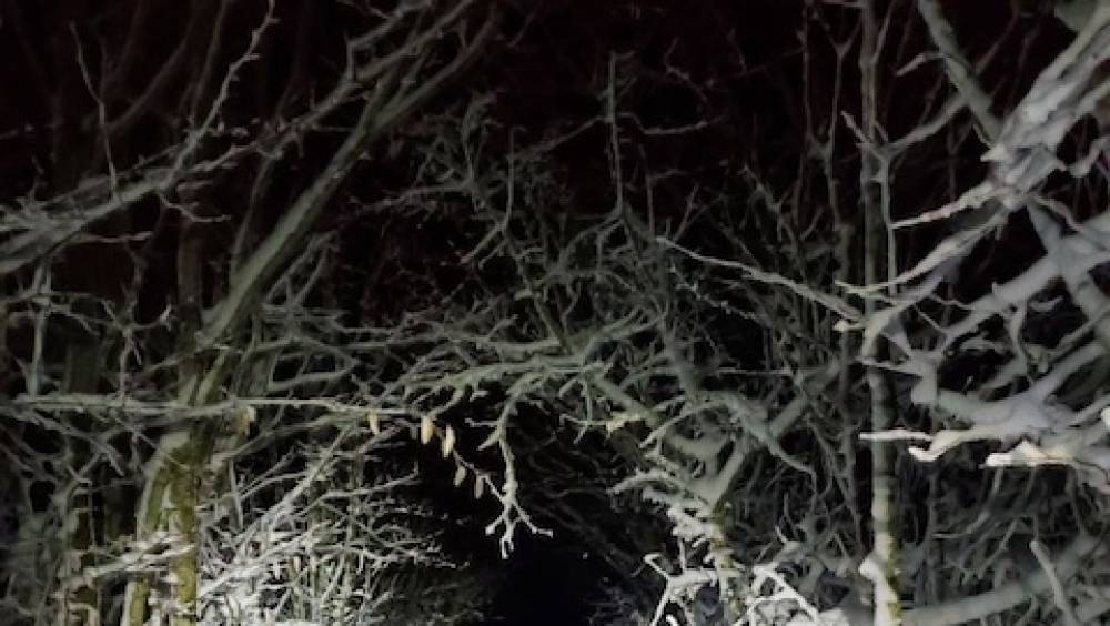 ambiance enneigee sur le trail hivernal des coursieres