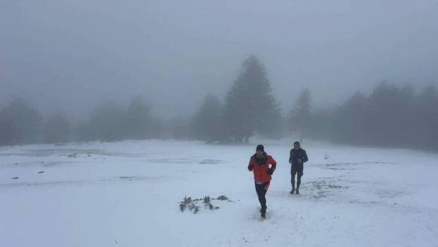 resultats trail du ventoux 2024