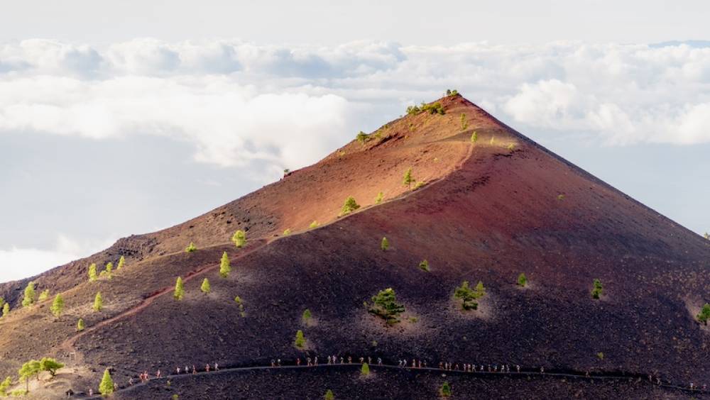 transvulcania 2024 retour aux sources