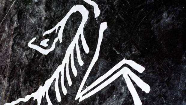 arcteryx alpine academy avec martin kern