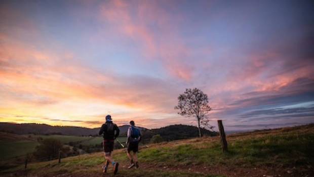 lultra trail du beaujolais vert 8e edition
