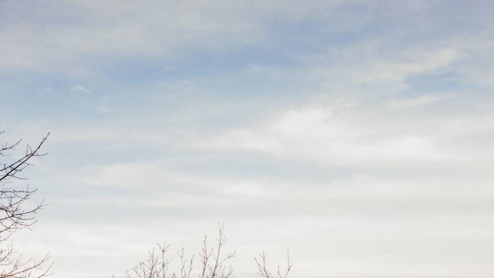 rossignol trail running team a lassaut des sentiers