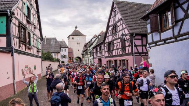 le trail alsace grand est by utmb 2025 rend son verdict