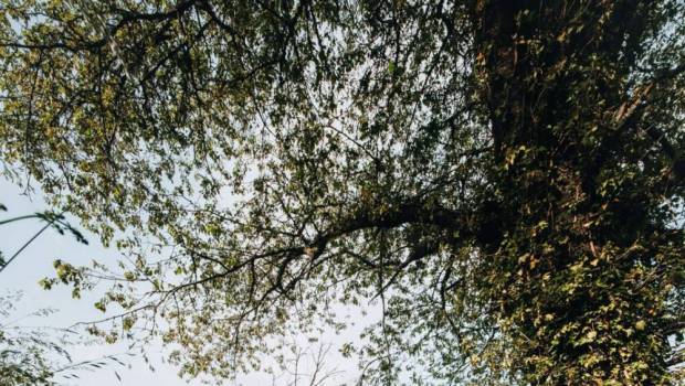 resultats trail du saint jacques by utmb 2025