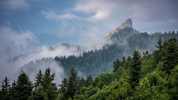 cet ete goutez au massif de chartreuse
