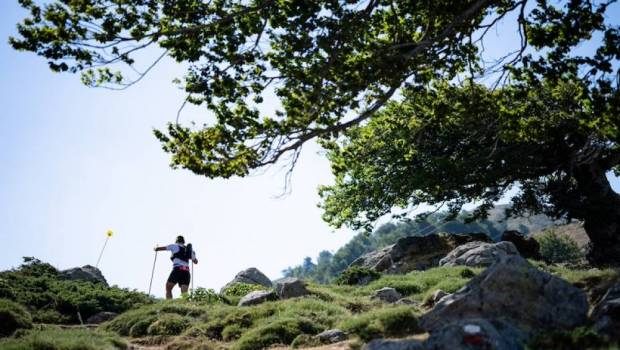 resultats restonica trail by utmb 2025