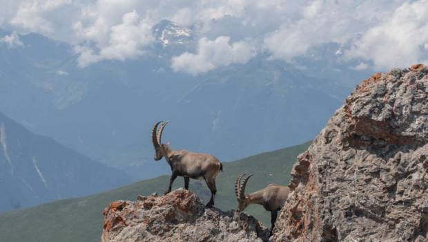 grand raid kiprun vallees moutiers 4eme etape ligue ultra revelee