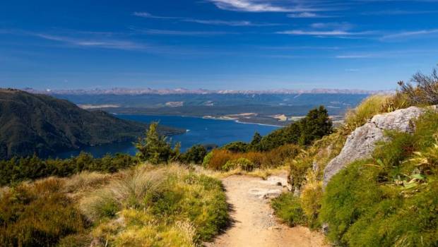 trails nouvellezelande guide complet pour choisir votre course