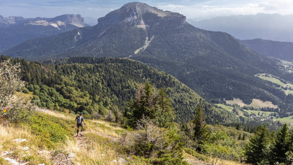 trail neron 2026