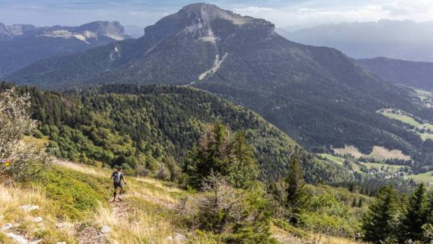 trail neron 2026